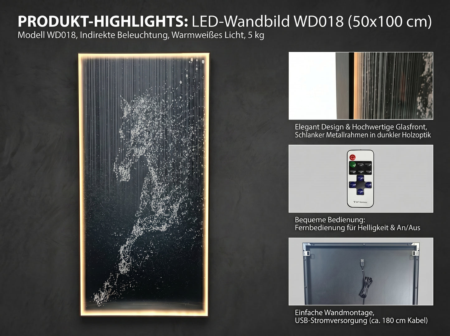 LED Wandbild Pferd 100x50 cm mit Glasfront und indirekter LED-Beleuchtung, modernes Wandbild mit Fernbedienung, USB, warmweiß, dekorative Wanddekoration Wohnzimmer Schlafzimmer