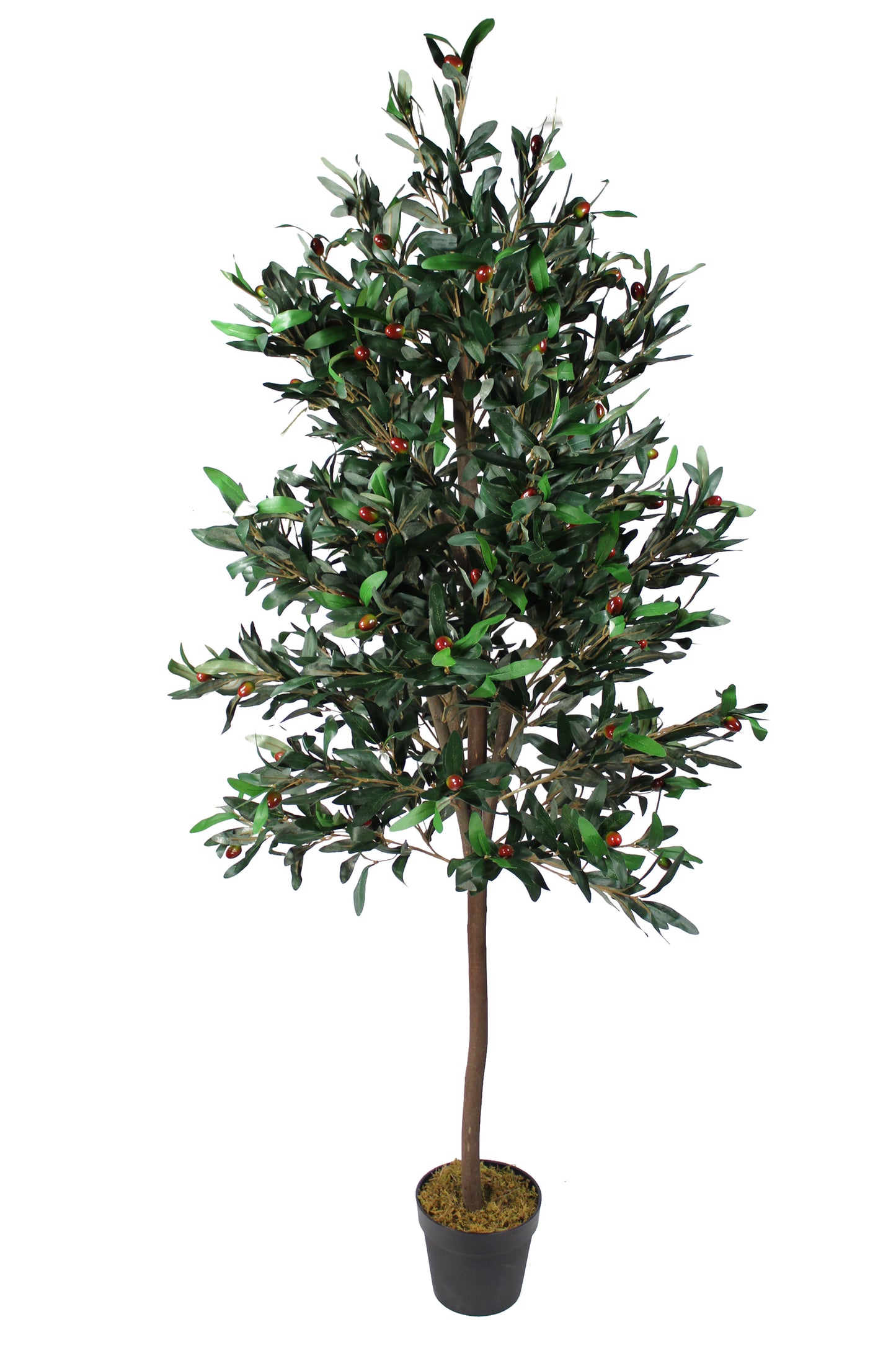 Großer künstlicher Olivenbaum Premium 185 cm Echtholzstamm Kunstpflanze